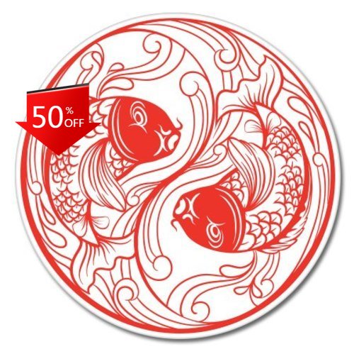 Laptop Unique Accessories - Koi Fish Yin Yang Unieke Camper
